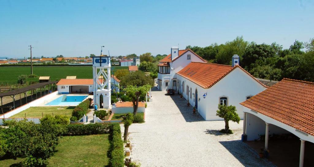 Marchanta Santarém Extérieur photo