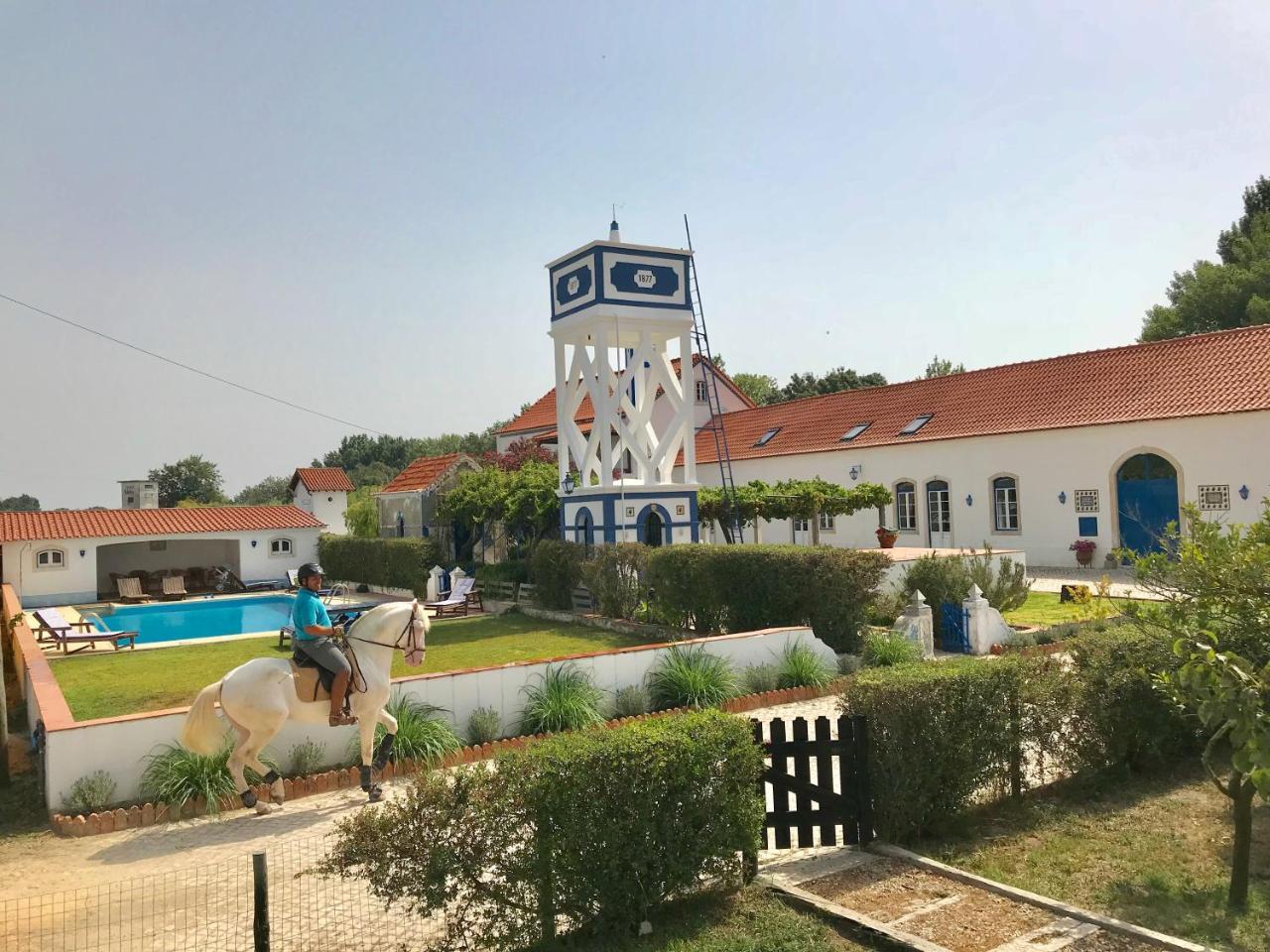 Marchanta Santarém Extérieur photo