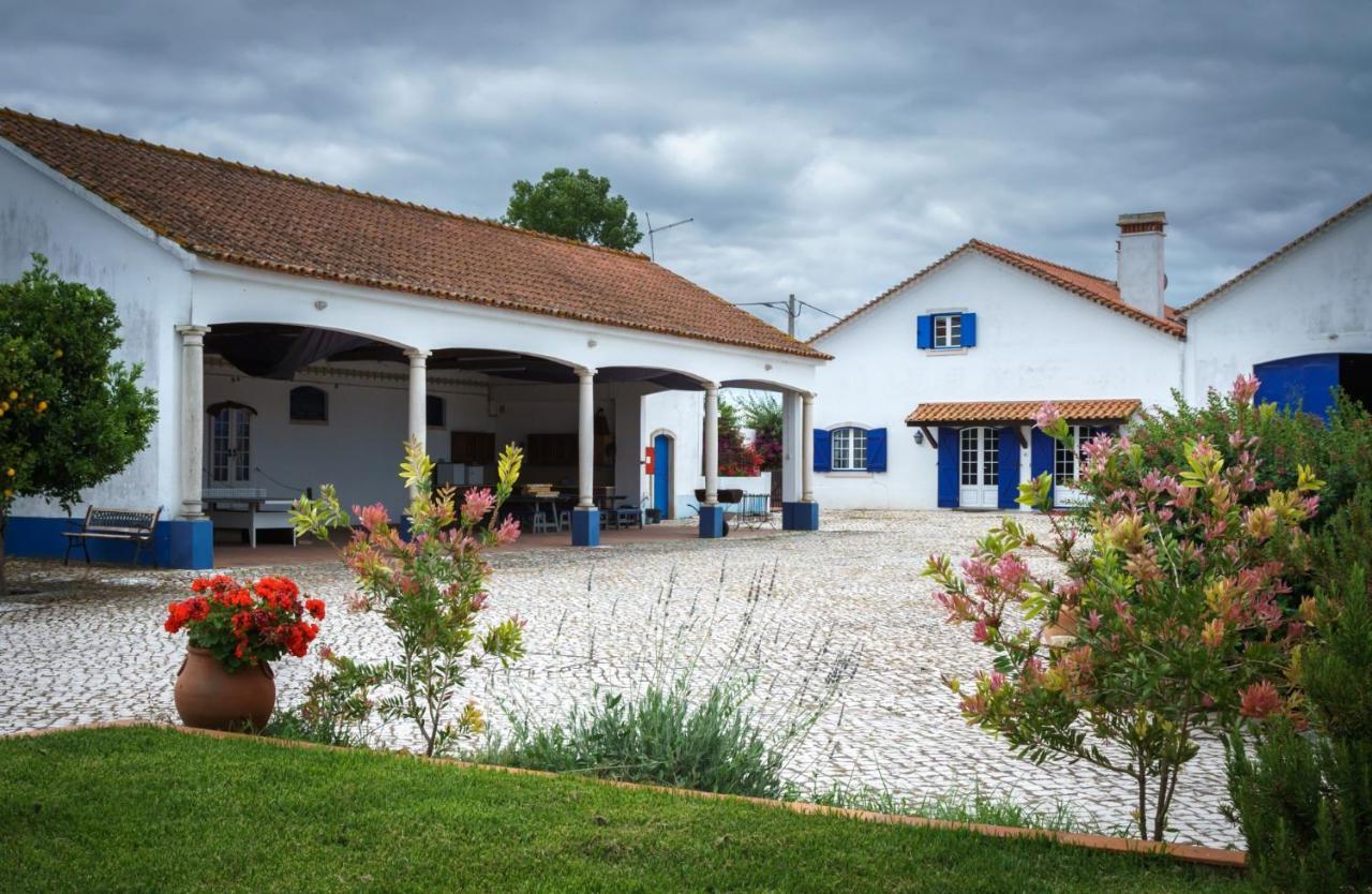 Marchanta Santarém Extérieur photo
